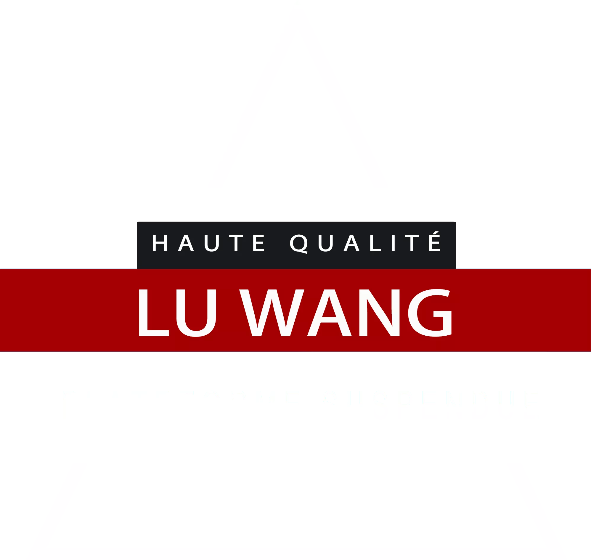 山东电动吊篮